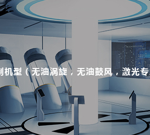 <b>永磁鼓风机C22</b>